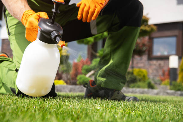 Trusted San Angelo, TX Pest Control Experts