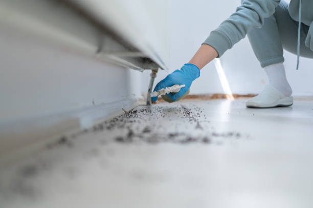 Pest Control Cost in San Angelo, TX